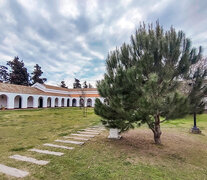 Una granizada que se produjo en 2012 causó la mayor destrucción del árbol histórico.  (Fuente: Gentileza Rubén Coniglio) (Fuente: Gentileza Rubén Coniglio) (Fuente: Gentileza Rubén Coniglio)