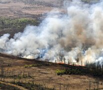 El Museo A. Scasso calcula que este año se quemaron 196.073 hectáreas en el Delta e Islas del Paraná. (Fuente: NA) (Fuente: NA) (Fuente: NA)