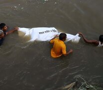 false (Fuente: AFP) (Fuente: AFP) (Fuente: AFP)