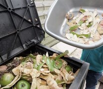 Frutas y verduras están entre los productos que más se desperdician. (Fuente: Télam) (Fuente: Télam) (Fuente: Télam)