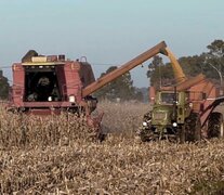 Habrá préstamos subsidiados para productores que no entraron al dólar soja. (Fuente: Télam) (Fuente: Télam) (Fuente: Télam)