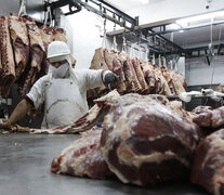 La carne que compra China es de vaca de descarte sin demanda en el mercado argentino (Fuente: Leandro Teysseire) (Fuente: Leandro Teysseire) (Fuente: Leandro Teysseire)