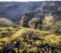 El último reporte concluyó que hay &amp;quot;afectación patrimonial directa sobre zona extensa y varios moais del área del interior del cráter del volcán Rano Raraku&amp;quot;. (Foto: Municipalidad de Rapa Nui / AFP)