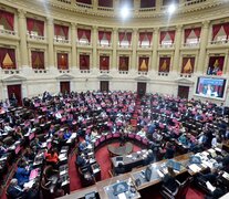 El proyecto recibió un amplio apoyo en el recinto, con 227 votos a favor. (Fuente: NA) (Fuente: NA) (Fuente: NA)