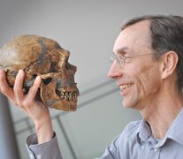 El Premio Nobel de Medicina, Svante Pääbo, supervisó los estudios dados a conocer en la revista Nature, y que dan  informaciòn pro primera vez de una familia de neandertales. (Foto:AFP)