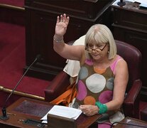 La diputada Bruera impulsa la comisión en Diputados