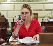 Diputada provincial Mónica Peralta. (Fuente: Prensa Diputados) (Fuente: Prensa Diputados) (Fuente: Prensa Diputados) (Fuente: Prensa Diputados)