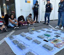 Los panes de droga y las personas detenidas en la ruta 9. (Fuente: Gentileza PFA) (Fuente: Gentileza PFA) (Fuente: Gentileza PFA)