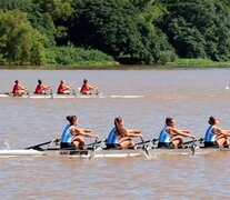 La Pista Nacional de Remo y Canotaje está en Tigre, en el Camino de los remeros. (Fuente: Instagram) (Fuente: Instagram) (Fuente: Instagram)