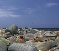 Los plásticos ya no solo un problema marino, sino también de salud.