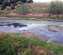 Esta semana se viralizaron imágenes del arroyo contaminado.