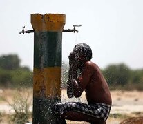 El calor mata en la India. (Fuente: EFE) (Fuente: EFE) (Fuente: EFE)