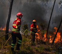 Los bomberos en su lucha a pleno en los bosques lusitanos. (Fuente: AFP) (Fuente: AFP) (Fuente: AFP)