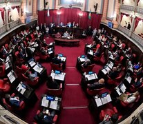 El Senado de la Provincia vuelve a tener mayoría peronista. 