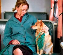 La película de clausura será &amp;quot;Fallen Leaves&amp;quot;, el más reciente trabajo de Aki Kaurismäki.