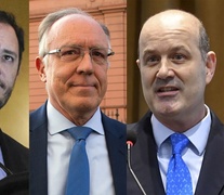 Reidel, Nielsen y Sturzenegger, en la carpeta del presidente electo