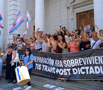 La manifestación de la comunidad travesti trans hizo posible la ley reparatoria. 