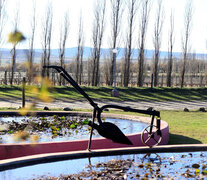 La industria del vino crece en el territorio bonaerense. 