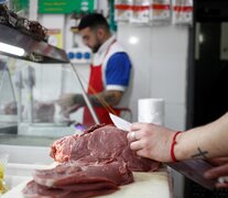 Sin regulación estatal, el precio local de la carne se equiparará al de exportación.  (Fuente: Carolina Camps) (Fuente: Carolina Camps) (Fuente: Carolina Camps)