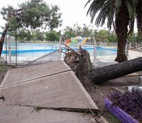 La tormenta del domingo por la madrugada generó destrozos en todo el conurbano. 