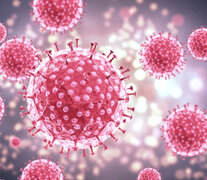 La estructura del virus del papiloma humano (vph).