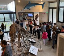 El flamante museo ofrecerá recorridos, charlas y un club de ciencias.