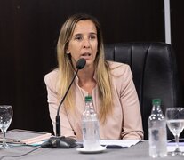  Lucía Iañez, diputada provincial de Unión por la Patria. 