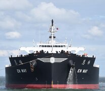 El barco &amp;quot;En May&amp;quot; chocó este domingo contra el Puente Zarate Brazo Largo. (Foto: Philippe Guichot / Marine Traffic)