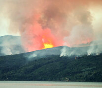 El fuego en Los Alerces lleva cinco días activo. (Fuente: AFP) (Fuente: AFP) (Fuente: AFP)