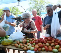 &amp;quot;El tomate platense es insuperable en materia gustativa”, afirma Juan José Garat.