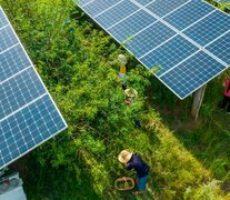 Los paneles fotovoltaicos lideran, por lejos, la transición hacia las renovables. (Fuente: AFP) (Fuente: AFP) (Fuente: AFP)