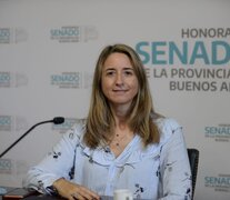 Flavia Delmonte, senadora bonaerense. 