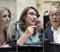 Carignano, Fein y Nuñez, tres expresiones políticas en el Congreso.