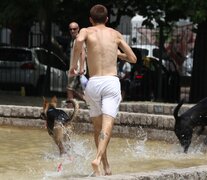 &amp;quot;Terminamos una semana de temperaturas extremas, pero continuará el calor unos días más&amp;quot;, publicó el SMN en redes sociales. (Fuente: Dafne Gentinetta) (Fuente: Dafne Gentinetta) (Fuente: Dafne Gentinetta)