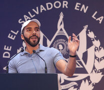 Nayib Bukele celebra su victoria.  (Fuente: EFE) (Fuente: EFE) (Fuente: EFE)