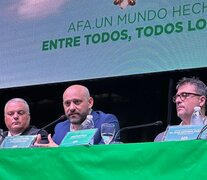 El ministro Puccini en el congreso de AFA.