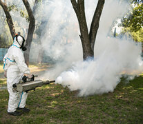 Los municipios activaron sus equipos de fumigación en el conurbano.  (Fuente: Prensa Municipalidad Almirante Brown) (Fuente: Prensa Municipalidad Almirante Brown) (Fuente: Prensa Municipalidad Almirante Brown)