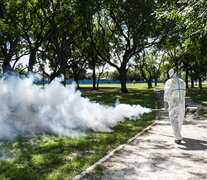 Ante la invación de mosquitos, los municipios avanzan con la fumigación. 