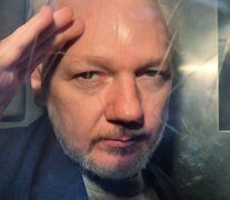 Stella Assange, esposa del fundador de WikiLeaks.  (Fuente: EFE) (Fuente: EFE) (Fuente: EFE)