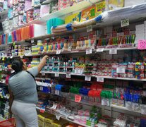 Adelantar compras en plenas vacaciones: las estrategia de las familias para ganarle a la inflación. (Foto: Manuela Tobía)