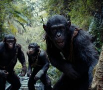 En el film, los primates ya son amos y señores del mundo.