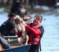 Voluntarios rescatan a un perro en una inundación en el río Gravataí, en el barrio de Matias Velho, en Canoas, norte de Porto Alegre (Fuente: EFE) (Fuente: EFE) (Fuente: EFE)