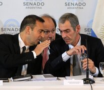 Rodríguez Chirillo, junto a Julio Cordero (secretarios de Energía y de Trabajo) en el Senado (Fuente: NA) (Fuente: NA) (Fuente: NA)