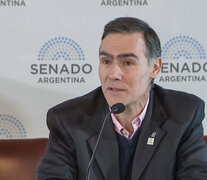 José Tamborenea preside la comisión Buenos Aires de Adimra. 