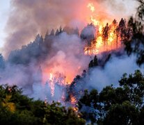La isla Gran Canaria ardió el verano del año pasado (Fuente: EFE) (Fuente: EFE) (Fuente: EFE)