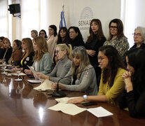 Un colectivo de 19 mujeres testimoniaron contra Pedro Brieger. (Fuente: Jorge Larrosa) (Fuente: Jorge Larrosa) (Fuente: Jorge Larrosa)