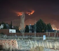 Se desató un incendio forestal en Tafí del Valle y afecta a 200 hectáreas (Fuente: @cesarJuarez10) (Fuente: @cesarJuarez10) (Fuente: @cesarJuarez10)