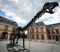 El fósil, bautizado Vulcain, se exhibe a partir de este sábado y hasta su subasta en el invernadero del castillo Dampierre-en-Yvelines, en las afuerad de París (Fuente: AFP) (Fuente: AFP) (Fuente: AFP)