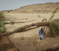 Un oasis devastado por el cambio climático (Fuente: AFP) (Fuente: AFP) (Fuente: AFP)