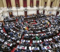 Diputados convocó a una sesión para flexibilizar la tenencia legal (Fuente: NA) (Fuente: NA) (Fuente: NA)